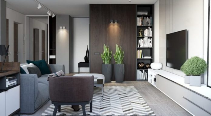 8 Idei pentru decorarea artamentului unui barbat