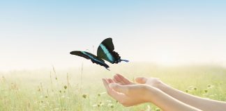 Eliberarea emotiilor negative prin catarsis