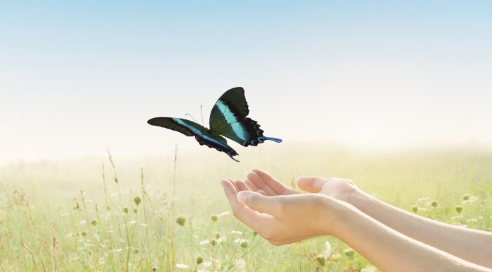 Eliberarea emotiilor negative prin catarsis