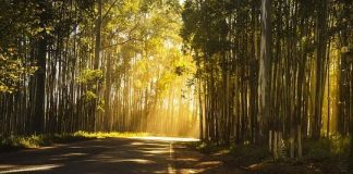 Rutina de dupa-amiaza: Idei pentru a profita de acele ore