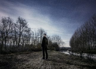 Tulburarea de personalitate schizoida: cauze, simptome si tratament
