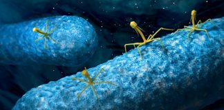 Virusul o fiinta vie? Stiinta ne da raspunsul