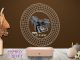 De ce lampa LED 3D e mai rezistentă decât o fotografie clasică în ramă