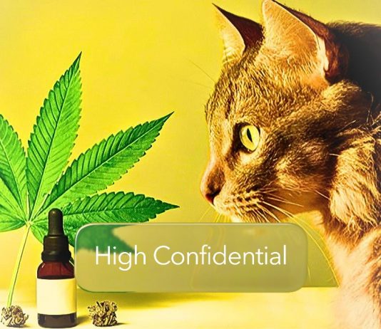High Confidential :În mintea pisicii tale